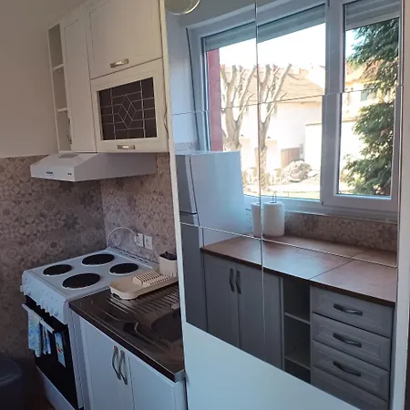 Sarina Garsonjera Apartment Aranđelovac