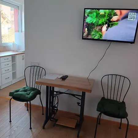 Apartment Sarina Garsonjera *