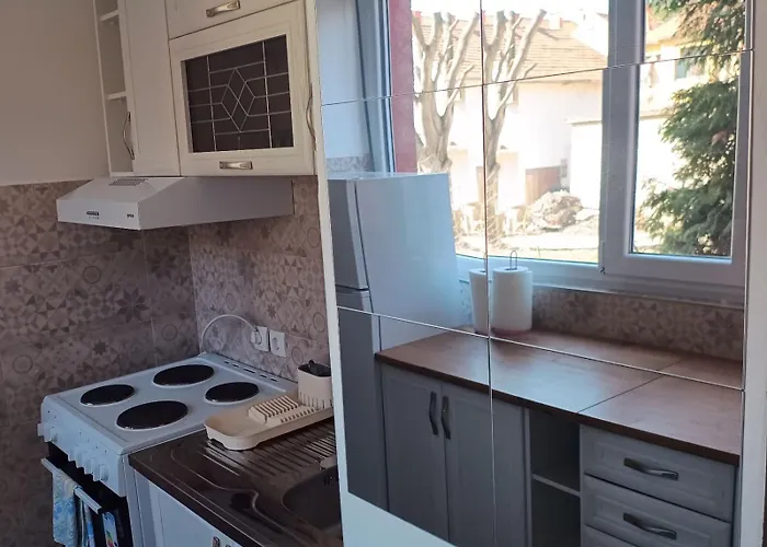 Sarina Garsonjera ארנדלובאץ'